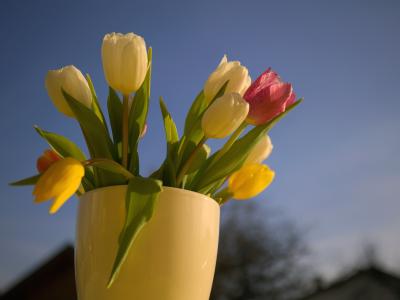 17